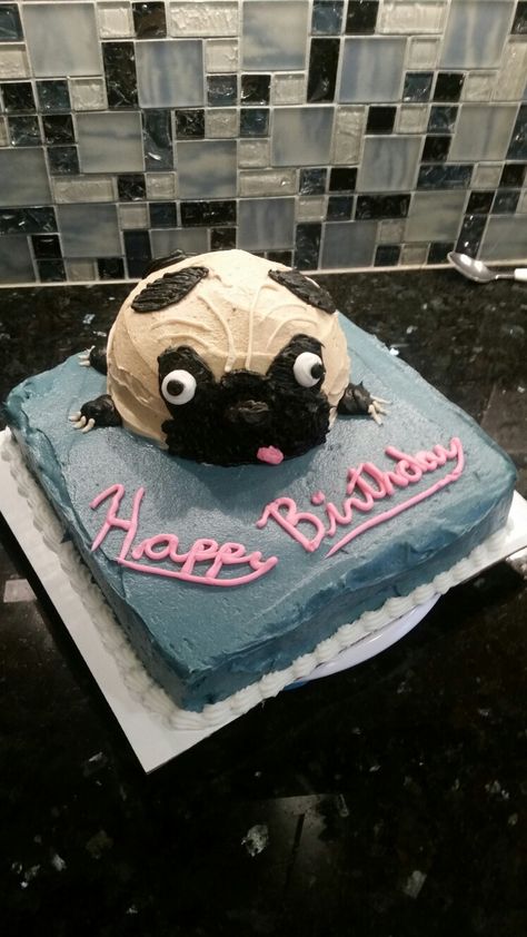 Chocolate peanut butter pug cake sept 2016 Pug Wedding Cake, Pug Cake Ideas, Pug Cakes, Pug Dog Cake, Pug Birthday Cake, Pug Wedding, Pug Cake, Pug Birthday, Cake Inspo