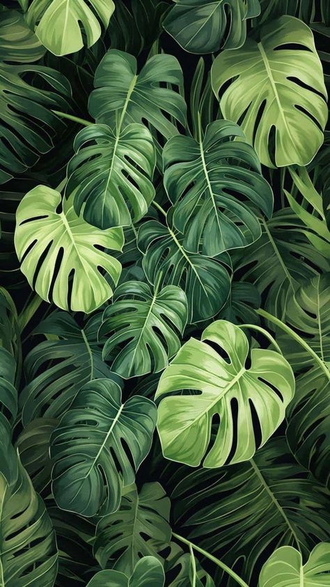 Green Plants Foliage iPhone Wallpaper HD Iphone Wallpaper Hd, Nature Iphone Wallpaper, Iphone Wallpaper Images, Plant Wallpaper, Free Iphone Wallpaper, Wallpapers Images, Macbook Wallpaper, Wallpapers Iphone, More Wallpaper