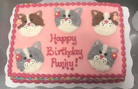 Kittens Birthday Cake, Cat Birthday Sheet Cake, Cat Sheet Cake, Kitten Cakes Birthday, Pool Birthday Cakes, Full Sheet Cake, Kitten Cake, Birthday Cake For Cat, Rectangle Cake