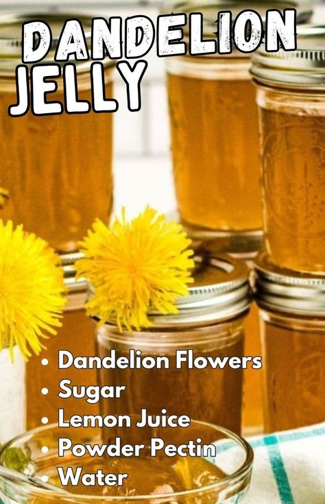 jars of dandelion jelly on table Dandelion Jelly Recipe, Dandelion Tea Recipe, Homemade Elderberry, Edible Flowers Recipes, Dandelion Tea, Dandelion Jelly, Homemade Jelly, Jelly Recipe, Paleo On The Go