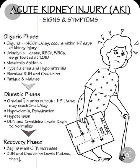 AKA Injury is a kidney illness and the signs and symptoms that would occur with the phases of how it begins and even the recovery from this illness. This would be concerned as an other. JH Nursing Cheat, Acute Kidney Injury, Nursing School Essential, Brain Surgeon, Nurse Study Notes, Nursing Mnemonics, Nursing Student Tips, Medical Student Study, Medical Surgical Nursing