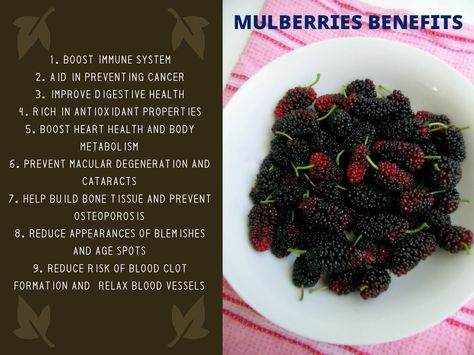 Health Benefits of Mulberries Mulberry Benefits, Boost Immune System, Bible Reading, Vegan Life, Heart Health, Ants, Immune System, Health Benefits, Benefits