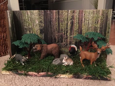 Forest habitat. shoe box project. Shoe Box Ecosystem School Projects, Forest Habitat Project, Ecosystems Diorama, Shoe Box Diorama, Deer Habitat, Habitat Project, Biomes Project, Diorama Kids, Ecosystems Projects