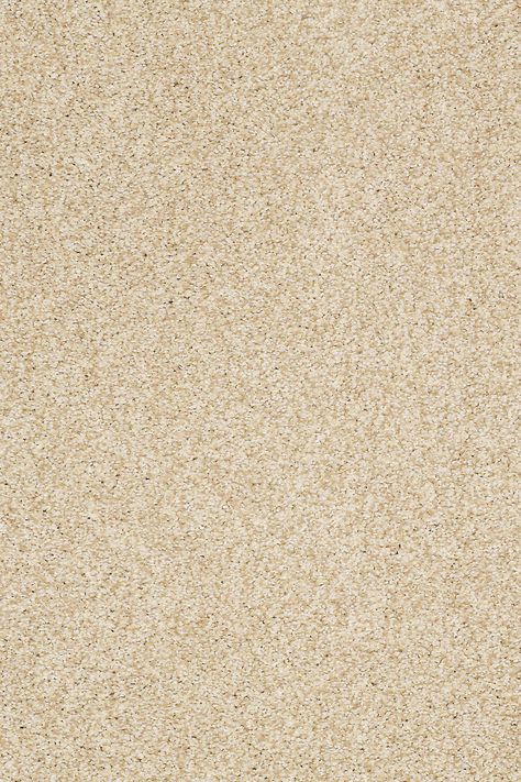 Our Shaw Floors CARESS MILFORD SOUND | CHURRO is carpet flooring made to make your life easier. Click to learn more. Painting Carpet, Shaw Carpet, Wooden Doors Interior, Shaw Floors, Carpet Samples, Shag Carpet, Buying Carpet, Flooring Projects, Carpet Styles