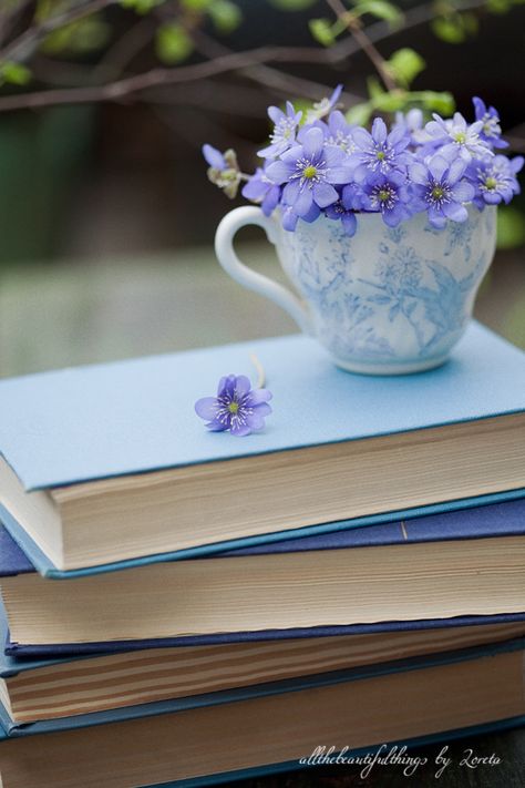 First flowers of spring Flowers In A Teacup, First Flowers Of Spring, Book Flowers, Cottage In The Woods, Blue Books, Shabby Vintage, Stack Of Books, I Love Books, Anemone