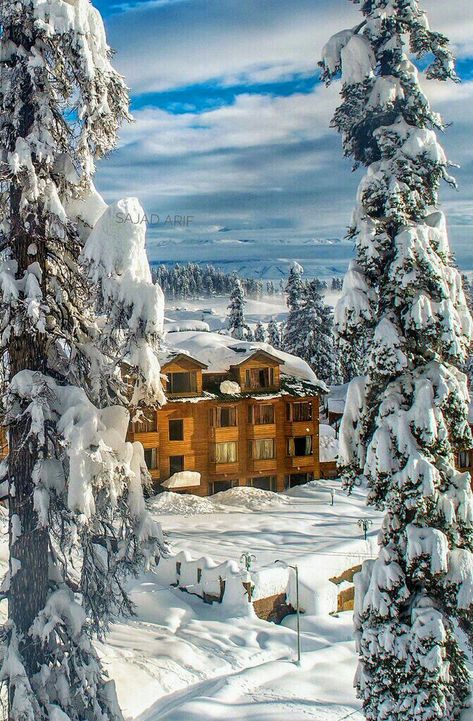 Snowfall in Gulmarg Town, Kashmir #India Gulmarg In Winter, Amazing Places In India, Kashmir Beauty, Kashmir Photos, India Places, Dog Collage, Kashmir Pakistan, Valley Of Flowers, Kashmir India