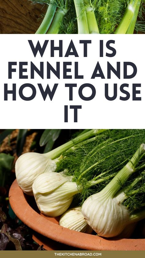 Discover the wonders of Fennel! I explore Fennel benefits, uses, and tantalizing recipes to enhance your health and culinary experience. Dive in now! What To Do With Fennel, Fennel Benefits, Fennel Seeds Benefits, Cooking Fennel, Fennel Uses, Fennel Essential Oil, Fennel Pollen, Fennel Tea, Fennel Recipes