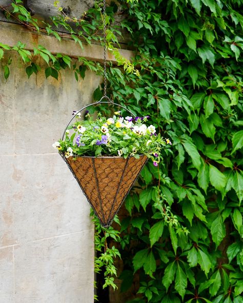 Looking for a simple way to brighten the exterior of your home?   Opt for a hanging basket! 💐🌼🪻🌸🌷🌻🌺💐 If you are short of space, or need to brighten up a drab corner or a bare wall, a hanging basket is an easy way to add some colour and interest to an otherwise unused area of your garden.   #GardenDesign #GardenStyling Garden Netting, Garden Basket, Outdoor Material, Hanging Garden, Hanging Basket, Hanging Wire, Floral Display, Autumn Garden, Fresh Design