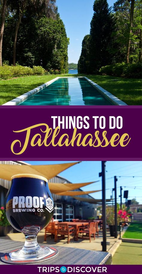 11 Best Things To Do in Tallahassee, Florida Wildlife Reserve, Tallahassee Florida, Visit Florida, On The Road Again, Florida Vacation, Summer Break, Sunshine State, Florida Travel, Travel Insurance