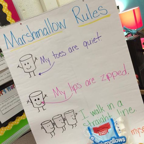 Marshmallow toes anchor chart Boy Activities, Kindergarten Goals, Class Community, Day On The Lake, Prek Ideas, Chart Paper, Teaching Classroom Management, Learning Spanish For Kids, Prek Classroom