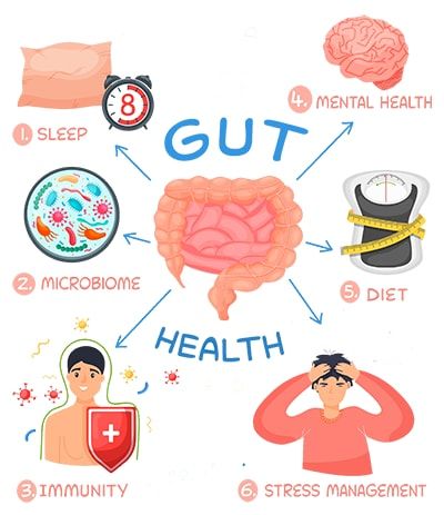 Microbiome Illustration, Health Logo Design, Health Quiz, Human Digestive System, Logo Design Health, Graphic Design School, Digestive Juice, Colon Health, Gut Microbiota