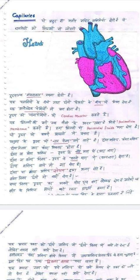 Class 10 Science Notes In Hindi, Human Body Biology, Neet Study, Ias Notes, Neet Biology, Sita Photo, Science Knowledge, Ram Sita, Hindi Language Learning