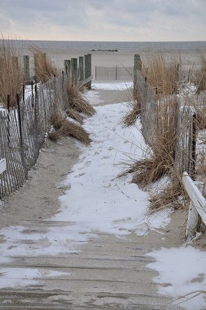 The Beach In Winter, Beach At Winter, Winter At The Beach, Beach In The Winter, Ocean Winter, Beach In Winter, Seaside Christmas, Snow On The Beach, Snow Beach