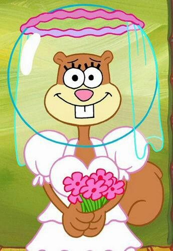 Sandy with a wedding outfit! Sandy Spongebob, Spongebob Wallpapers, Spongebob Theme, Spongebob And Sandy, Spongebob Characters, Spongebob Faces, Wallpaper Sun, Spongebob Birthday Party, Spongebob Painting