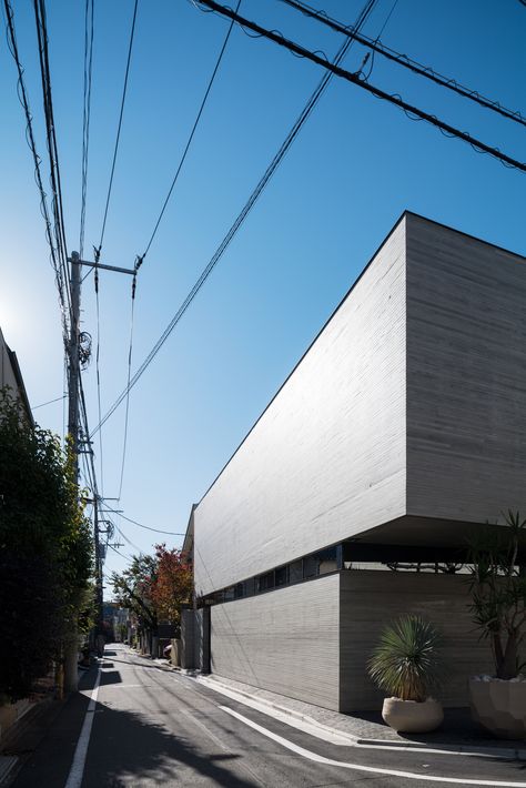 Apollo Architects, Interior Courtyard, Timeless House, Space Landscape, Natural Branches, Timeless Architecture, Dome Home, Passive Design, Tokyo Design