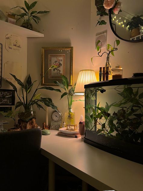 Fishtank Bedroom Aesthetic, Aquarium In Room Aesthetic, Desk With Fish Tank, Aquarium Set Up Ideas, Fish Tank In Room Aesthetic, Desk Fish Tank Ideas, Fish Tank On Desk, Aquarium Room Decor, Room Aquarium Ideas