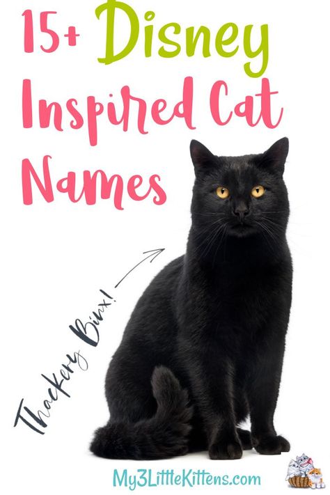 Disney Inspired Cat Names. From Figaro to Cheshire, the options are cartoon character perfect for your kitty! #cats #Disney Cartoon Characters Names List, Disney Cats Characters, Disney Cat Names, Disney Cat Characters, Cartoon Characters Names, Boy Cat Names, Girl Cat Names, Unique Cat Names, Funny Cat Names