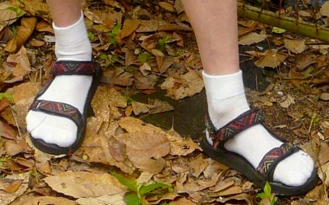 Ancient Romans wore socks with sandals. Socks With Sandals, An American In Paris, Heels Aesthetic, The Adventure Zone, Roman Sandals, Cracked Heels, Birkenstock Milano, Striped Socks, Socks And Sandals