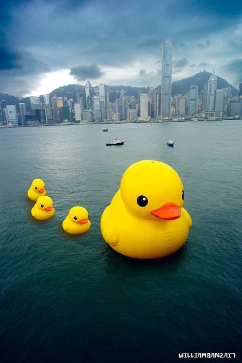 Duck Wallpaper, Quack Quack, Rubber Ducks, Painting Subjects, Rubber Ducky, Mellow Yellow, Rubber Duck, Public Art, 귀여운 동물