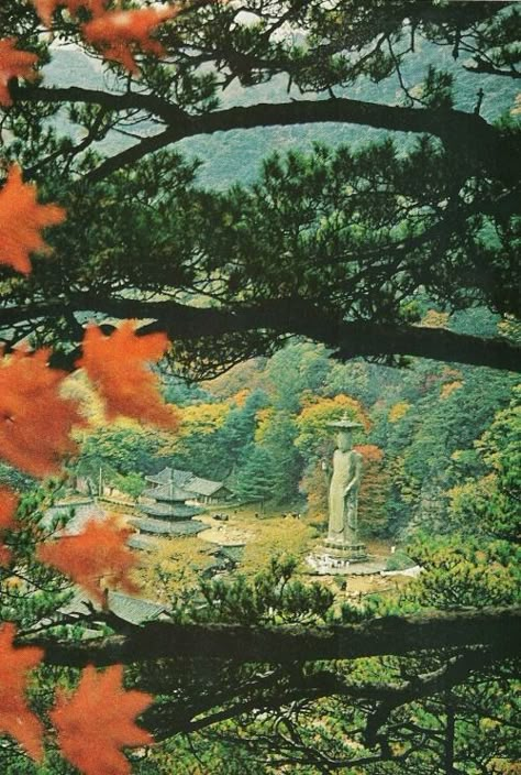 Vintage Nat Geo, National Geographic Archives, Pinterest Shuffle, Vintage National Geographic, National Geographic Photography, Indie Photography, Collage Material, Scenery Photography, National Geographic Magazine