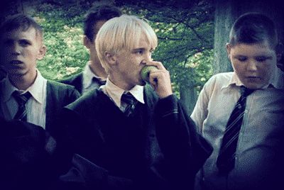 Love at first bite. Harry Potter Draco, Hell Quotes, Funny Harry Potter, Glume Harry Potter, Harry Potter Memes Hilarious, Harry Potter Pin, Tom Felton Draco Malfoy, Potter Facts, Slytherin Aesthetic