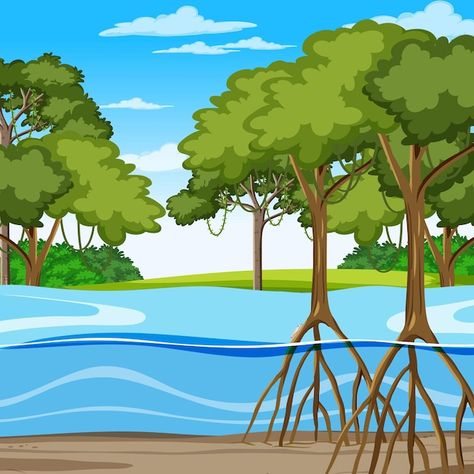 Free vector nature scene with mangrove f... | Free Vector #Freepik #freevector #cartoon-jungle #jungle-theme #cartoon-forest #cartoon-scene Forest Cartoon, Money Planner, Forest Drawing, Mangrove Forest, Cartoon Background, Nature Scenes, Cartoon Styles, Borders, Graphic Resources