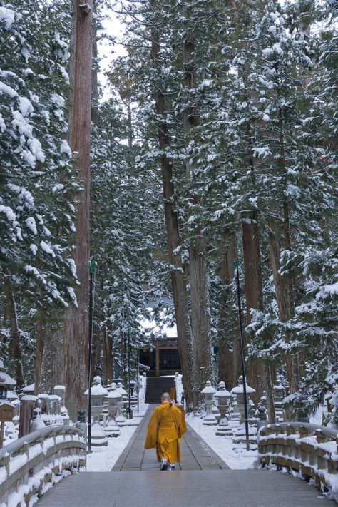 Tibetan Monk, Japanese Village, Zen Master, Japanese Landscape, Buddhist Monk, The Monks, Buddha Art, The Grandmaster, March 21