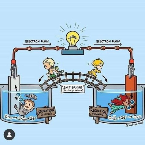 #Galvanic cell with salt bridge Animated and easily explained Galvanic Cell, Chemistry Study Guide, Chemistry Basics, Physics Concepts, Learn Physics, Study Chemistry, Physics Classroom, Basic Physics, Chemistry Classroom