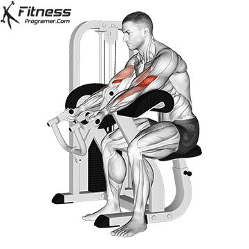 Lever Preacher Curl 1 Daily Gym Workout Plan, Best Biceps, Bicep And Tricep Workout, Free Workout Plans, Biceps Brachii, Workout Program Gym, Gym Plan, Bicep Muscle, Daily Gym Workout