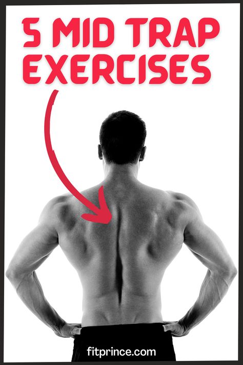 Mid Trap Exercises Mid Trap Exercises, Trap Exercises, Easy Exercises For Beginners, Traps Workout, Exercises For Beginners, Easy Exercises, Fitness Exercises, Build Strength, Strength Workout