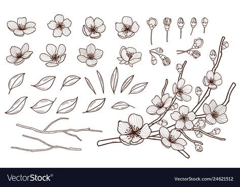 Almond Blossom Drawing, Apple Flower Drawing, Almond Flower Tattoo, Plum Blossom Drawing, Flower Tree Drawing, Sakura Flower Illustration, Pen Vector, Apple Tree Blossoms, Cherry Blossom Drawing