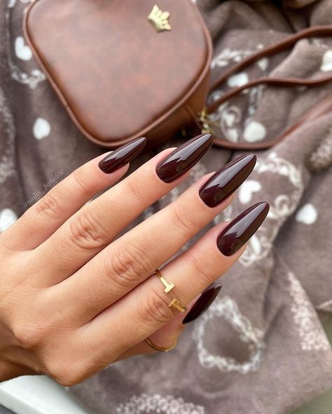 Burgundy Almond Acrylic Nails, Fall Nail Inspiration Acrylic, Oxblood Nails, Manicure Fall, Thanksgiving Nails Color, Nails Styles, Wine Nails, Brown Nails Design, Thanksgiving Nail Designs