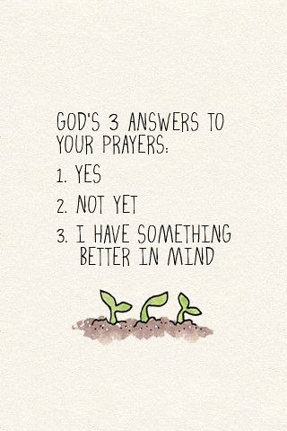 God's 3 Answers to Your Prayers | www.littleseedblog.com | Flickr God Answered Prayers Quotes, Answered Prayer Quotes, God Answers Prayers, Answered Prayers, Bible Notes, Gospel Of Jesus Christ, Bible Verses Quotes Inspirational, Bible Encouragement, Prayer Quotes