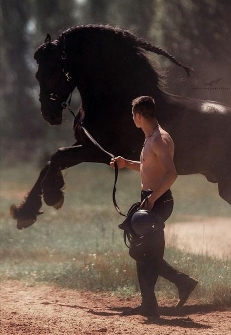 source: pipsneldo Male Equestrian, Equestrian Aesthetic, Man On Horse, Akhal Teke, Equestrian Outfits, Friend Poses, Pretty Stuff, Fantasy Series, What Is Tumblr