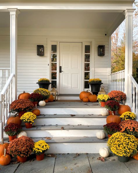 Black Flower Pots, Fall Decor Front Porch, Fall Porch Ideas, Kat Jamieson, Mums In Pumpkins, Olive Branch Wreath, Porch Inspiration, Decor Front Porch, Porch Pumpkins