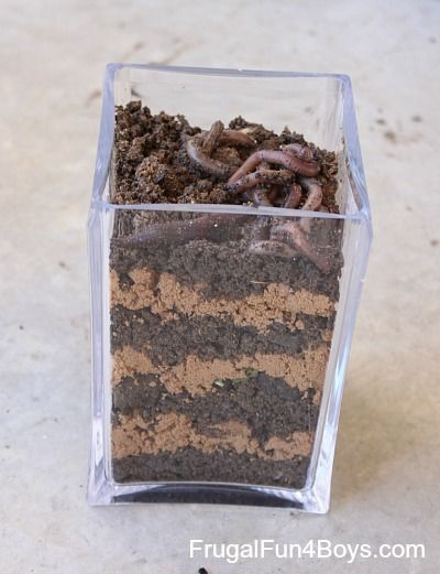 Homemade Worm Observation Jar. Cool way to teach kids about worms. {Frugal Fun for Boys} Dirt And Worms Craft, Worm Crafts Preschool, Preschool Worms, Worm Habitat, Bug Habitat, Dirt And Worms, Preschool Bugs, Worm Crafts, Summer Science Experiments