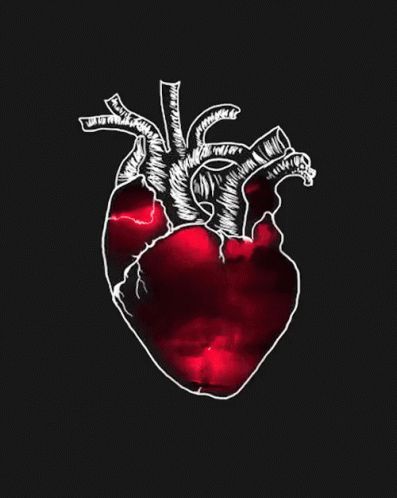 Animated Heart Gif, Animated Heart, Heart Gif, Anatomical Heart, Human Heart, Gif Pictures, Beautiful Gif, Aesthetic Gif, Heart Wallpaper