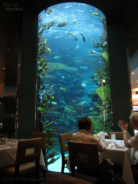 Tall Aquarium, Aquarium Restaurant, House Aquarium, Aquarium Architecture, Custom Aquarium, Amazing Aquariums, Underwater House, Chart House, Cool Fish Tanks