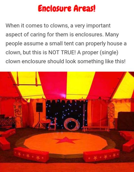 Clown Husbandry Art, Clown Husbandry, Clowncore Aesthetic, Clown Stuff, Clown Party, Clowns Funny, Send In The Clowns, Dark Jokes, Clowning Around