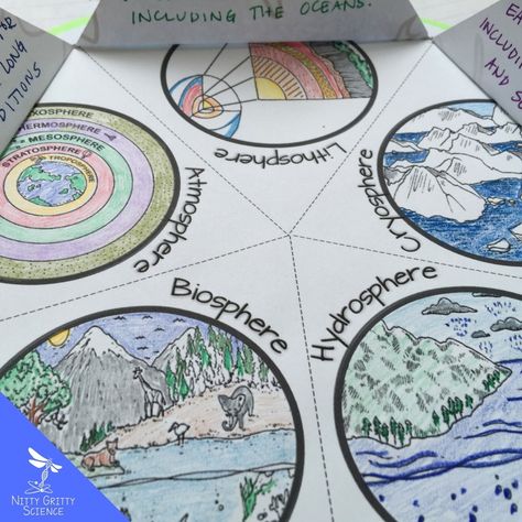 This activity found in my Intro to Earth Science: Earth Science Interactive Notebook will provide your students with a strong foundation in Earth Science.  Click on the link in my bio to download this FREE chapter. Geography Interactive Notebook, Earth Science Projects, Earth's Spheres, Earth Science Activities, Geography Teacher, Geography Project, Science Earth, Branches Of Science, Geography For Kids