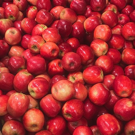 Red Apple Aesthetic, Apples Aesthetic, Nostalgic Fall, Apple Board, Apple Aesthetic, Apple Core, Apple Bite, Apple White, Stock Wallpaper