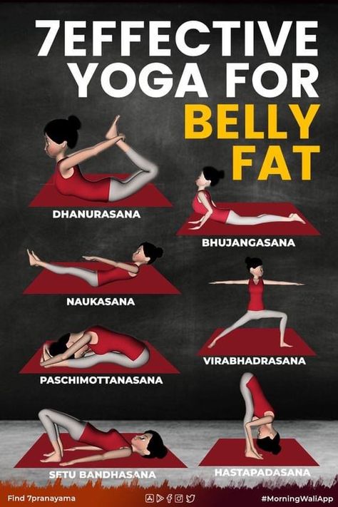 Yoga For Belly, Yoga For Flat Tummy, Yoga For Flat Belly, Fat Yoga, Learn Yoga Poses, Yoga Facts, Learn Yoga, Lose Belly Fat Workout, Gourmet Cooking