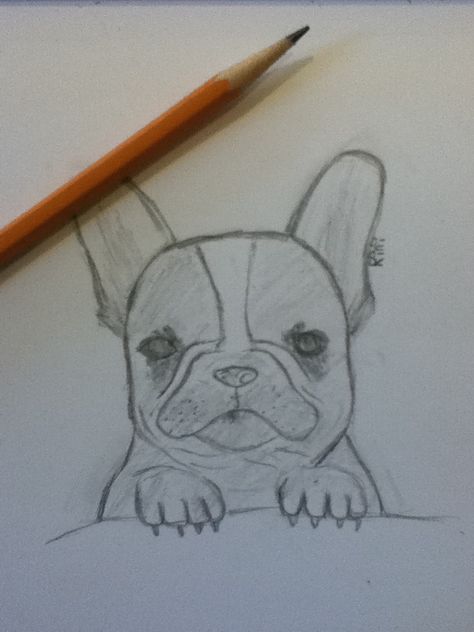 French Bulldog Drawing by Rini Easy Bulldog Drawing, French Bulldog Drawing Easy, Frenchie Drawing, Dog Sketching, French Bulldog Drawing, Bulldog Drawing, Dog Sketch, Stained Glass Crafts, Animal Sketches