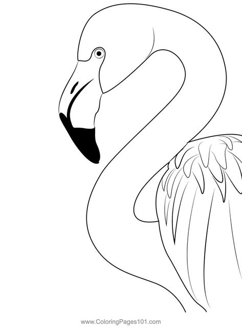 Pink Flamingo Birds Head Coloring Page Flamingo Coloring Page, Pink Flamingos Birds, Flamingo Theme, Flamingo Party, Step By Step Painting, Animal Heads, Pink Flamingo, Pink Flamingos, Free Kids