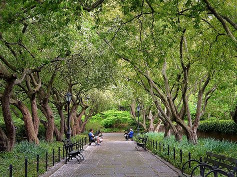 Central park in summer, see all the beautiful photos Central Park Horizontal, Beautiful Parks Garden, Acnh Central Park Ideas, Central Park Summer, Cental Park, Central Park Aesthetic, Belvedere Castle, Central Park Zoo, Nyc Central Park