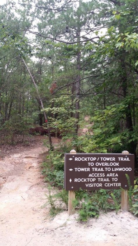 If you're looking for a delightful way to spend an afternoon, look no further than crowders mountain. It's the perfect place to de-stress and enjoy nature!: Nc Waterfalls, Visit North Carolina, North Carolina Vacations, North Carolina Travel, Nc Mountains, North Carolina Mountains, North Carolina Homes, Road Trip Hacks, Field Trips