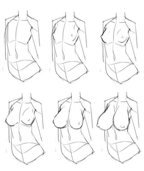 Tips For Drawing, Female Anatomy Reference, Human Body Drawing, Drawing Female Body, Female Torso, Female Drawing, Body Drawing Tutorial, Human Anatomy Art, Anatomy Sketches