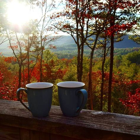 Coffee with a view ☕ . . . . #nature #woods #sunlight #coffee #coffeebreak #colors #autumn #season #fall #october #coffeelovers #nature… Good Morning Autumn Coffee, Good Morning Autumn, Mountain Autumn, Fall Coffee Drinks, Morning Autumn, Early Morning Coffee, Coffee Fall, Valley Of Flowers, Coffee Icon