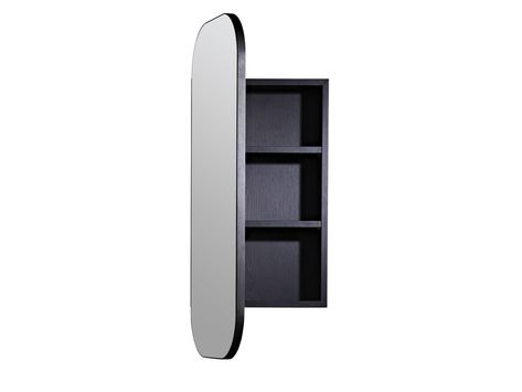 ISSY Z1 500mm x 1000mm Oval Mirror with Shaving Cabinet from Reece Shaving Cabinets Bathroom Recessed, Recessed Mirror Cabinet, Bathroom 2022, Condo Bathroom, Modern Mirrors, Shaving Cabinet, Hair Salon Decor, Mirror Cabinet, Bedroom Space