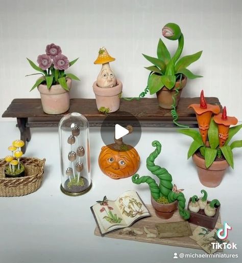 Michael Robbins on Instagram: "Plants, plants and more magical plants. Most of these are made from a mix of polymer clay, wire and paper ☺️🪴 #magicplants #magicalplants #audrey2 #littleshopofhorrors #mandrake #beanstalk #toadstool #pumpkin #pumpkins #jackolantern #halloweenart #mini #miniature #miniatureplants #dollhouse #dollshouse #dollhouseminiatures #fimo #polymerclay #dome #cloche #herbology #pottingshed" Harry Potter Plants, Magical Plants, Little Shop Of Horrors, Miniature Plants, Potting Shed, Fake Plants, Halloween Art, Jack O Lantern, Dollhouse Miniatures